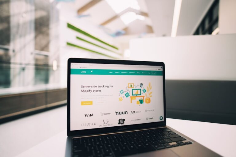Software Assistance for Small Businesses
